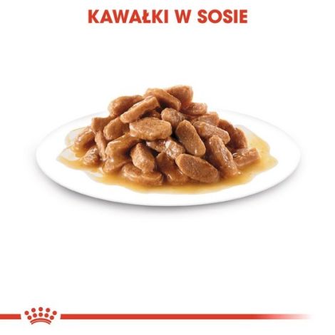 Royal Canin Mini Puppy karma mokra w sosie dla szczeniąt, od 2 do 10 miesiąca życia, ras małych saszetki 4x85g - 4