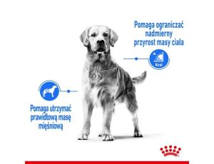 Royal Canin Maxi Light Weight Care karma sucha dla psów dorosłych, ras dużych z tendencją do nadwagi 12kg - 2