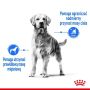 Royal Canin Maxi Light Weight Care karma sucha dla psów dorosłych, ras dużych z tendencją do nadwagi 12kg - 2