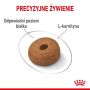 Royal Canin Maxi Light Weight Care karma sucha dla psów dorosłych, ras dużych z tendencją do nadwagi 12kg - 4