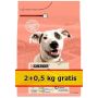 Purina Dog Chow Adult Sensitive Łosoś 2,5kg (2+0,5kg gratis)