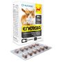 Wita-Vet Kot Energia Junior + Adult 60tabl