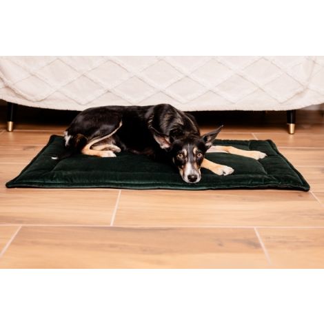 MIMIKO Pets Mata Velvet 100x70cm butelkowa zieleń - 3