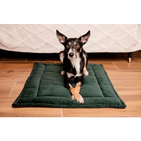 MIMIKO Pets Mata Velvet 100x70cm butelkowa zieleń - 2