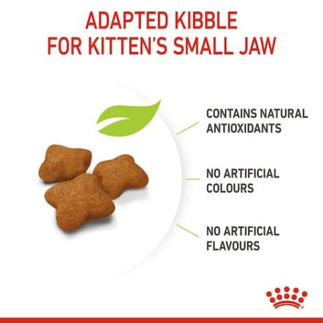 Royal Canin Kitten Sterilised karma sucha dla kociąt od 4 do 12 miesiąca życia, sterylizowanych 2kg - 4