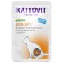 Kattovit Feline Diet Urinary indyk saszetka 85g