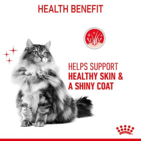 Royal Canin Hair&Skin Care karma sucha dla kotów dorosłych, lśniąca sierść i zdrowa skóra 10kg - 5