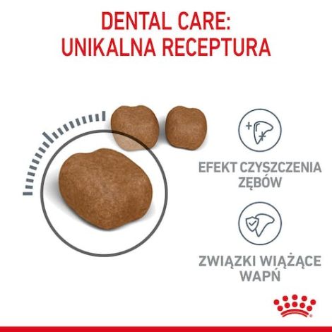 Royal Canin Dental Care karma sucha dla kotów dorosłych, redukująca odkładanie kamienia nazębnego 8kg - 4