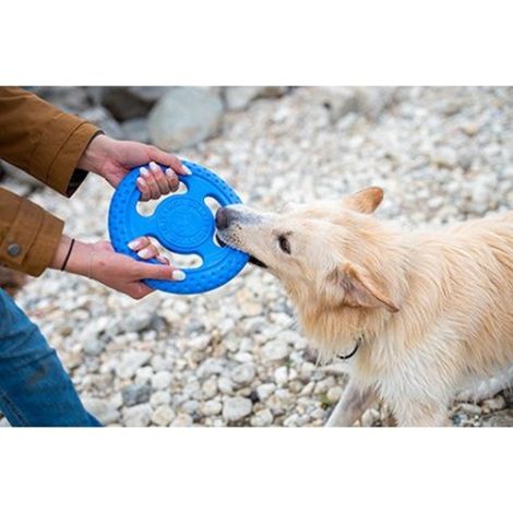 Kiwi Walker Let's Play Frisbee Mini niebieskie - 3