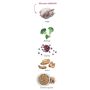 Amanova Dog Adult Obesity Turkey Delight - indyk 10kg - 4