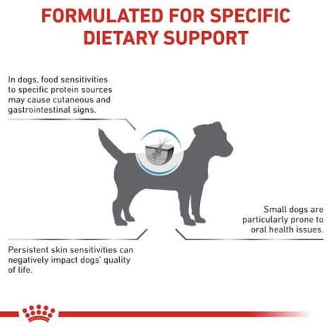 Royal Canin Veterinary Diet Canine Anallergenic Small 1,5kg - 4