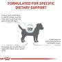 Royal Canin Veterinary Diet Canine Anallergenic Small 1,5kg - 4