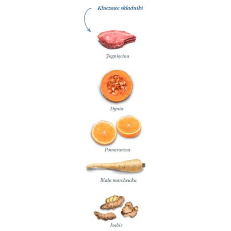 Amanova Dog Adult Mini Sensitive Delicious Lamb - jagnięcina 2kg - 4
