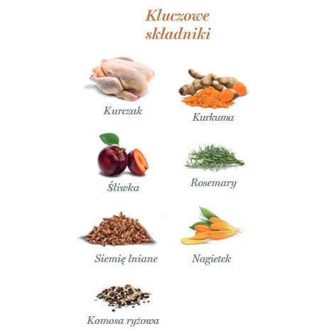 Amanova Dog Adult Exquisite Chicken - kurczak saszetka 300g [P03] - 4