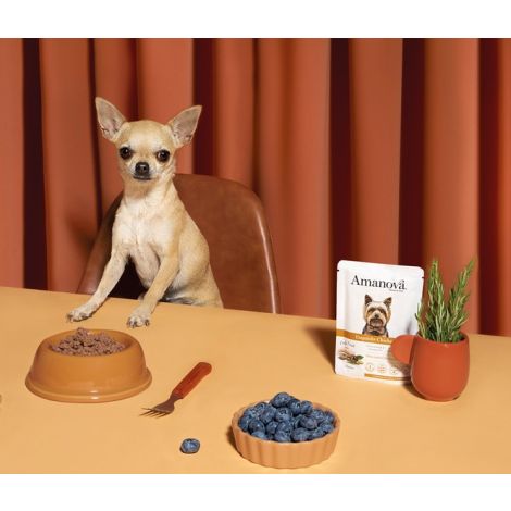 Amanova Dog Adult Exquisite Chicken - kurczak saszetka 300g [P03] - 5