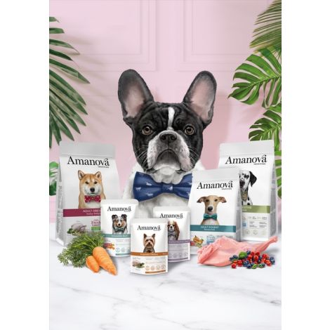 Amanova Dog Adult Exquisite Chicken - kurczak saszetka 300g [P03] - 6