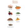 Amanova Dog Adult Exquisite Chicken - kurczak saszetka 300g [P03] - 4