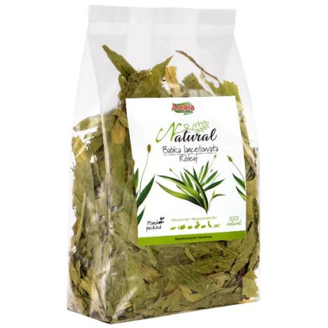 Alegia Babka lancetowata 100g