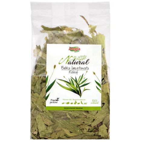 Alegia Babka lancetowata 100g - 2