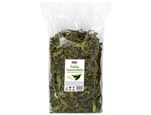Alegia Babka lancetowata 300g
