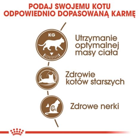 Royal Canin Ageing +12 Sterilised karma sucha dla kotów dojrzałych, sterylizowanych 400g - 5