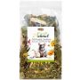 Alegia Natural Zioła dla szynszyli i koszatniczki 100g
