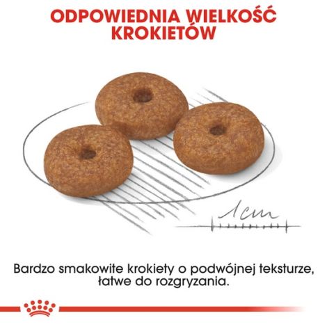 Royal Canin Mini Ageing 12+ karma sucha dla psów dojrzałych po 12 roku życia, ras małych 1,5kg - 6