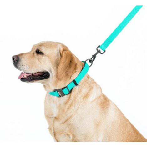 Collar WauDog Waterproof Obroża wodoodporna z QR-paszportem, akumulująca światło, plastikowy fastex, 15mm/25-35cm - 5
