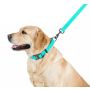 Collar WauDog Waterproof Obroża wodoodporna z QR-paszportem, akumulująca światło, plastikowy fastex, 15mm/25-35cm - 5