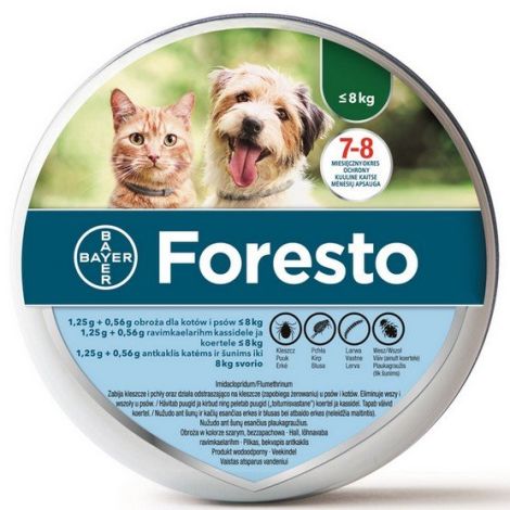 Bayer Foresto Obroża 1,25g + 0,56g  dla kotów i małych psów <8kg