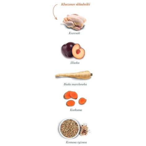 Amanova Dog Adult Large Exquisite Chicken - kurczak 12kg - 4