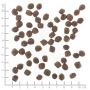 Wolfsblut Dog Range Lamb Adult Small - jagnięcina i ryż 2kg - 2