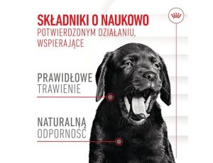 Royal Canin Immunity & Digestion Chews Puppy Supplements 100g - 2