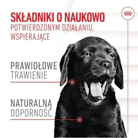 Royal Canin Immunity & Digestion Chews Puppy Supplements 100g - 2