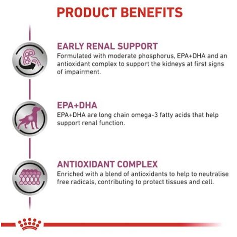 Royal Canin Veterinary Diet Canine Early Renal w sosie saszetka 100g - 2