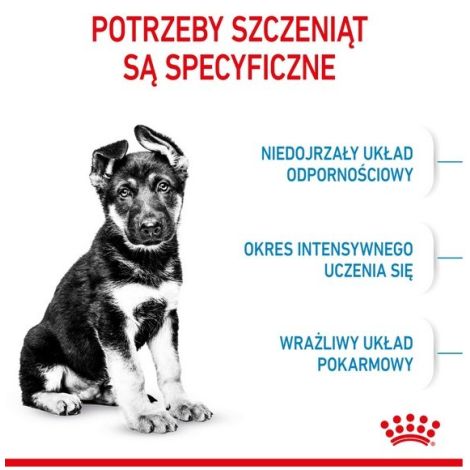 Royal Canin Maxi Puppy karma sucha dla szczeniąt, od 2 do 15 miesiąca życia, ras dużych 3kg - 4