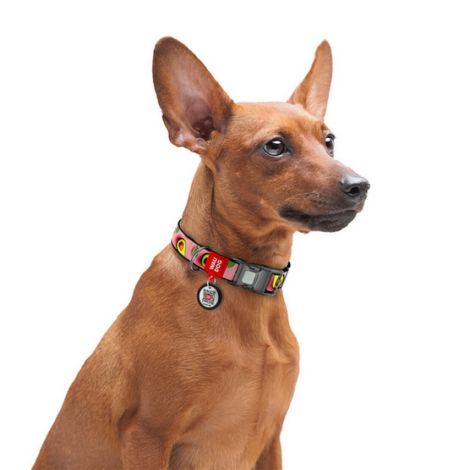 Collar WauDog Nylon Obroża nylonowa z QR-paszportem, plastikowy fastex, wzór AWOKADO NA RÓŻU, M 20mm/28-40cm - 4