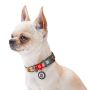 Collar WauDog Nylon Obroża nylonowa z QR-paszportem, plastikowy fastex, wzór AWOKADO NA RÓŻU, M 20mm/28-40cm - 3