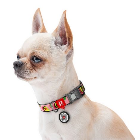 Collar WauDog Nylon Obroża nylonowa z QR-paszportem, plastikowy fastex, wzór AWOKADO NA RÓŻU, S 15mm/25-35cm - 3