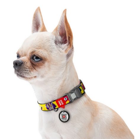 Collar WauDog Nylon Obroża nylonowa z QR-paszportem, plastikowy fastex, wzór FUTRZANE POTWORY, L 25mm/33-49cm - 3