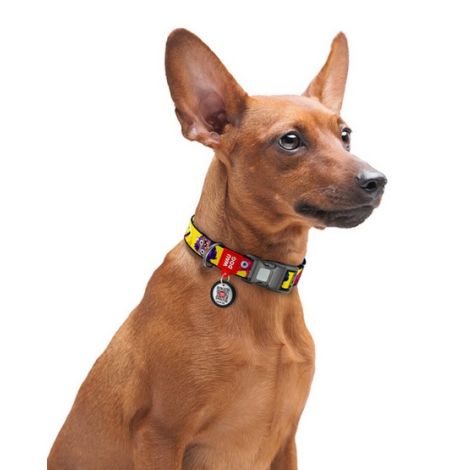 Collar WauDog Nylon Obroża nylonowa z QR-paszportem, plastikowy fastex, wzór FUTRZANE POTWORY, L 25mm/33-49cm - 4