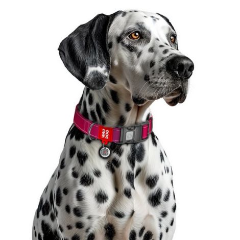 Collar WauDog Nylon Mono Obroża nylonowa odblaskowa z QR-paszportem, plastikowy fastex, S 15mm/25-35cm różowa - 3