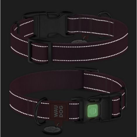 Collar WauDog Nylon Mono Obroża nylonowa odblaskowa z QR-paszportem, plastikowy fastex, M 20mm/28-40cm jasnozielona - 4