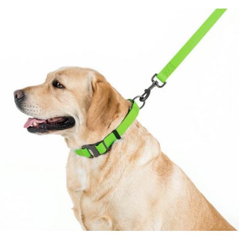 Collar Waterproof Smycz wodoodporna L-XXL 25mm/183cm jasnozielona - 3