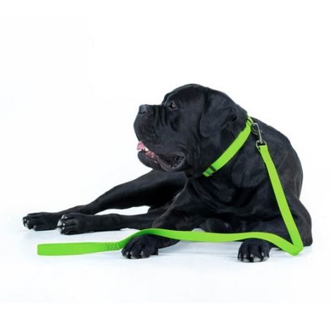Collar Waterproof Smycz wodoodporna L-XXL 25mm/183cm jasnozielona - 4