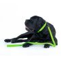 Collar Waterproof Smycz wodoodporna L-XXL 25mm/183cm jasnozielona - 4