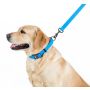 Collar Waterproof Smycz wodoodporna L-XXL 25mm/183cm niebieska - 3