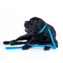 Collar Waterproof Smycz wodoodporna L-XXL 25mm/183cm niebieska - 4