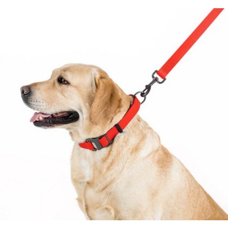 Collar Waterproof Smycz wodoodporna M 20mm/183cm czerwona - 3