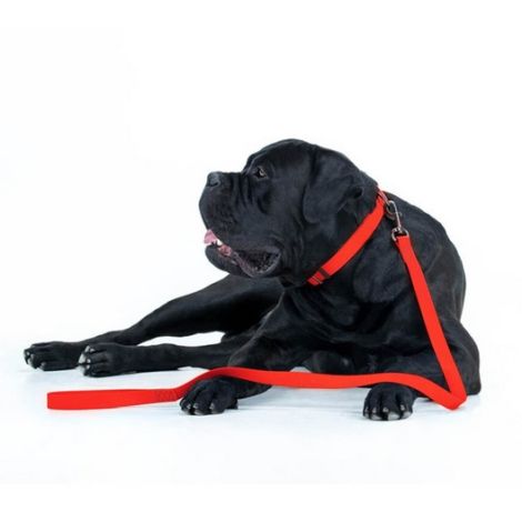 Collar Waterproof Smycz wodoodporna M 20mm/183cm czerwona - 4